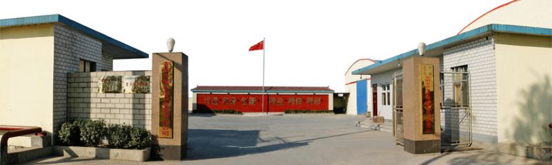 热力庆祝公司网站改版完成